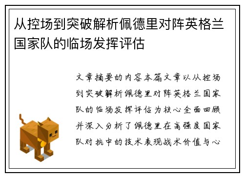 从控场到突破解析佩德里对阵英格兰国家队的临场发挥评估 从控场到突破解析佩德里对阵英格兰国家队的临场发挥评估